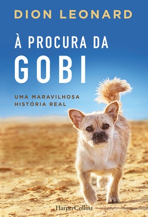 À procura da Gobi